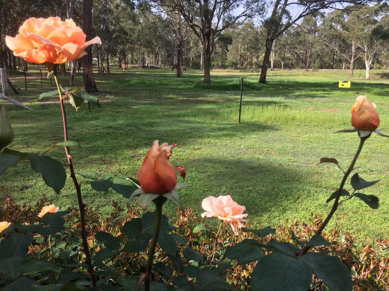 Hunter Valley Retreat Quorrobolong Exteriör bild