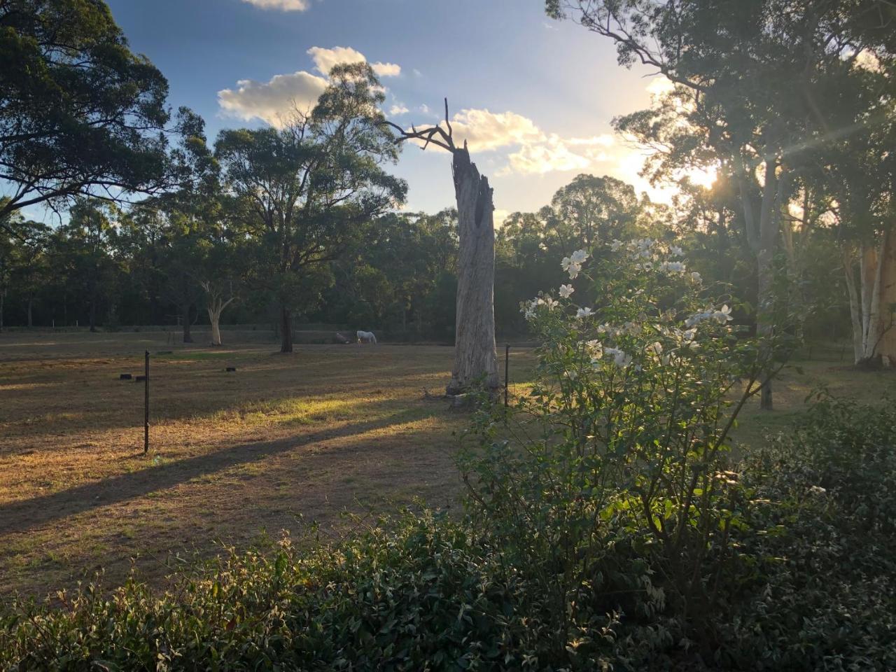 Hunter Valley Retreat Quorrobolong Exteriör bild
